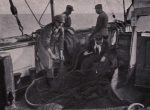 Gilson, G. (1914). Le Musée Royal d'Histoire Naturelle moderne, sa mission, son organisation, ses droits. Mémoires du Musée Royal d'Histoire Naturelle de Belgique = Verhandelingen van het Koninklijk Natuurhistorisch Museum van België, VII(25 Gilson, G. (1914). Le Musée Royal d'Histoire Naturelle moderne, sa mission, son organisation, ses droits. Mémoires du Musée Royal d'Histoire Naturelle de Belgique = Verhandelingen van het Koninklijk Natuurhistorisch Museum van België, VII(25