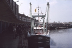 N.36 Donia (Bouwjaar 1981), author: Gino Provost