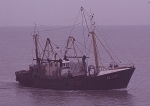 N.720 Andr�-Jeanine (Bouwjaar 1963)