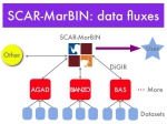 SCAR-MarBIN data fluxes