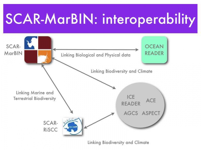 SCAR-MarBIN Interoperability