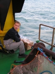 JPG file