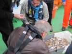 JPG file