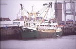 Z.99 Terra Nova (Bouwjaar 1975)