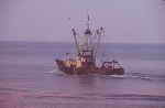 O.191 Natasha (Bouwjaar 1963), author: Provost, Gino