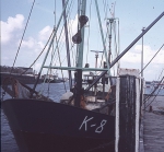 Kieldrecht