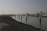 Palen bij laagwater