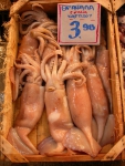 Vismarkt