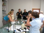 Picture of Porifera training course 16