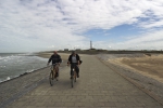 Fietsers