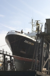 Onderhoud zeeleeuw