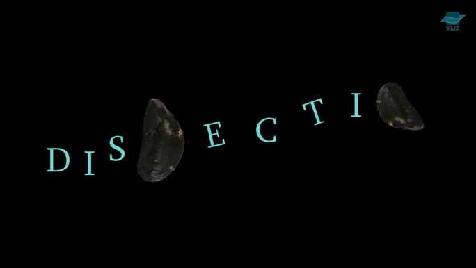 Dissecties