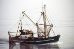 O.110 Jeannine-Margaret (bouwjaar 1959)