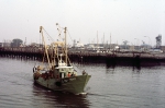 O.101 Benny (bouwjaar 1967)