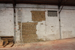 JPG file
