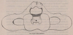 Van Beneden (1870, fig. 06) Van Beneden (1870, fig. 06)