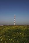 Mast