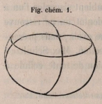 Van Beneden & Bessels (1868, fig. chém. 1) Van Beneden & Bessels (1868, fig. chém. 1)
