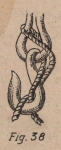 De Jonghe (1912, fig. 38) De Jonghe (1912, fig. 38)