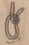 De Jonghe (1912, fig. 39) De Jonghe (1912, fig. 39)