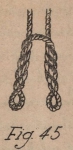 De Jonghe (1912, fig. 45) De Jonghe (1912, fig. 45)