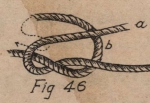 De Jonghe (1912, fig. 46) De Jonghe (1912, fig. 46)