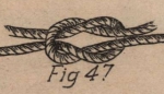 De Jonghe (1912, fig. 47) De Jonghe (1912, fig. 47)