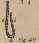 De Jonghe (1912, fig. 49) De Jonghe (1912, fig. 49)