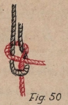 De Jonghe (1912, fig. 50) De Jonghe (1912, fig. 50)