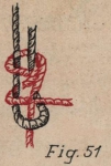 De Jonghe (1912, fig. 51) De Jonghe (1912, fig. 51)