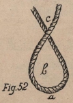 De Jonghe (1912, fig. 52) De Jonghe (1912, fig. 52)
