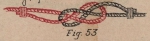 De Jonghe (1912, fig. 53) De Jonghe (1912, fig. 53)