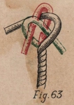 De Jonghe (1912, fig. 63) De Jonghe (1912, fig. 63)