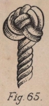 De Jonghe (1912, fig. 65) De Jonghe (1912, fig. 65)