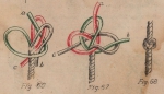 De Jonghe (1912, fig. 66-68) De Jonghe (1912, fig. 66-68)