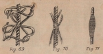 De Jonghe (1912, fig. 69-71) De Jonghe (1912, fig. 69-71)