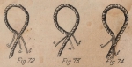 De Jonghe (1912, fig. 72-74) De Jonghe (1912, fig. 72-74)