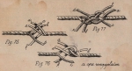 De Jonghe (1912, fig. 75-77) De Jonghe (1912, fig. 75-77)