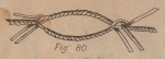 De Jonghe (1912, fig. 80) De Jonghe (1912, fig. 80)