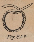 De Jonghe (1912, fig. 82a) De Jonghe (1912, fig. 82a)