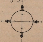 De Jonghe (1912, fig. B) De Jonghe (1912, fig. B)