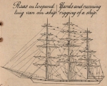 De Jonghe (1912, fig. F) De Jonghe (1912, fig. F)