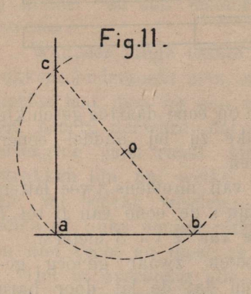 De Borger (1901, fig. 11)