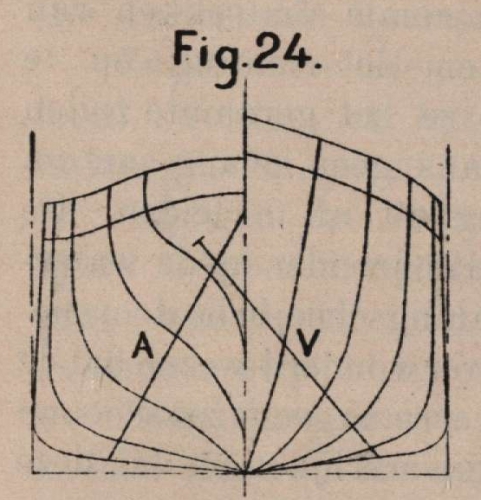 De Borger (1901, fig. 24)