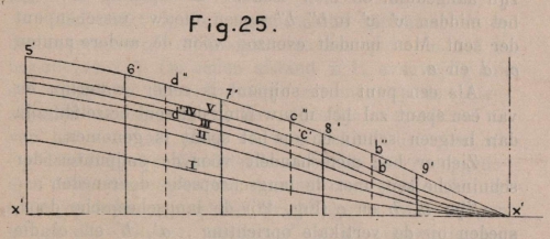 De Borger (1901, fig. 25)