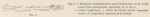 Racovitza (1903, fig. 05) Racovitza (1903, fig. 05)