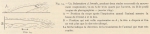 Racovitza (1903, fig. 14) Racovitza (1903, fig. 14)
