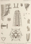 De Man (1904, pl. 06) De Man (1904, pl. 06)