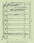 Henseval (1903, fig. 2) Henseval (1903, fig. 2)