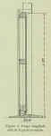 Huwart (1905, fig.3) Huwart (1905, fig.3)